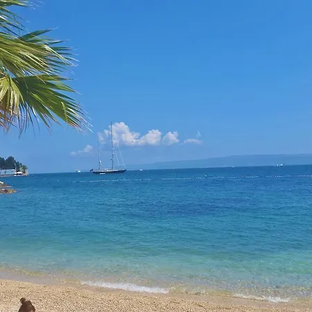 莫尼公寓 公寓 *