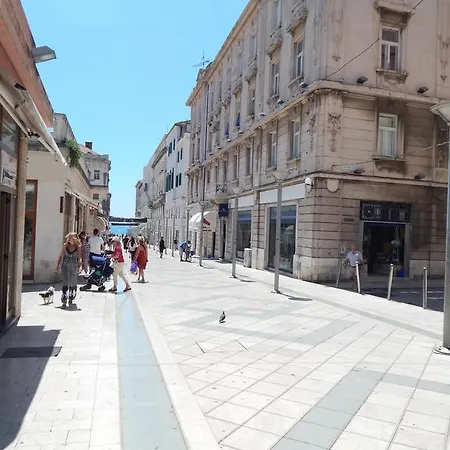 아파트 아파트먼트 모니 *